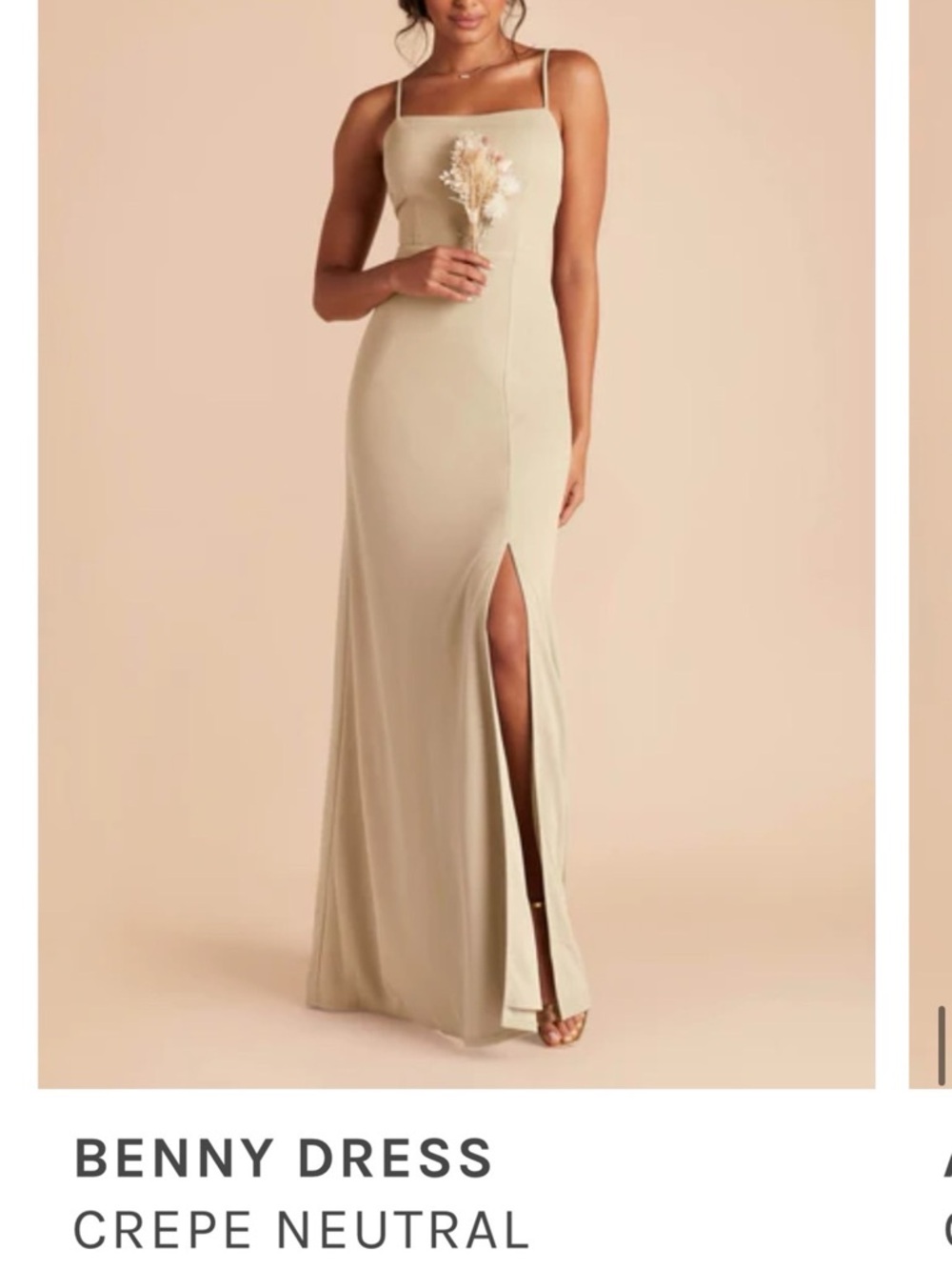 Birdy Grey Neutral Benny Maxi Dress with Thigh Slit